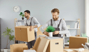 Packing Like a Pro Secrets From Professional Movers