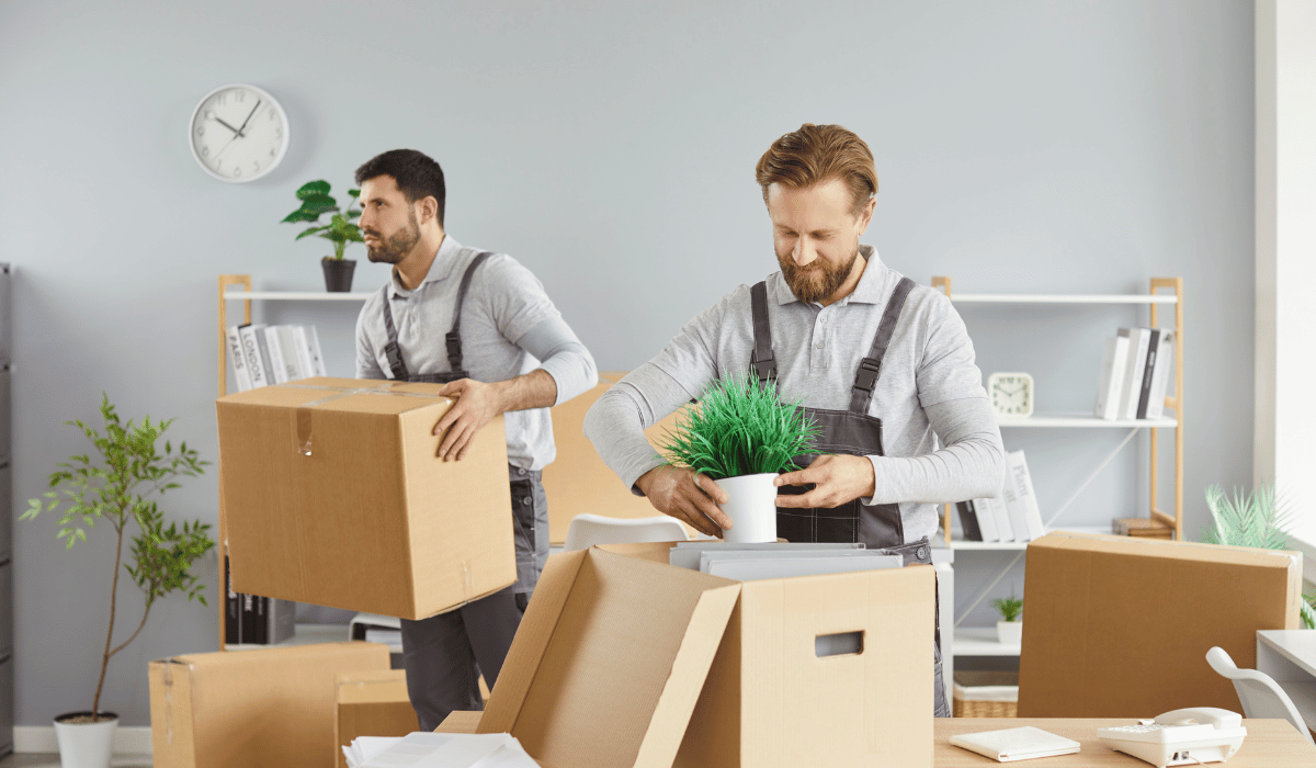 Packing Like a Pro Secrets From Professional Movers